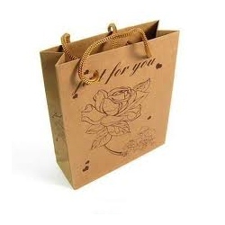 paper-carry-bag